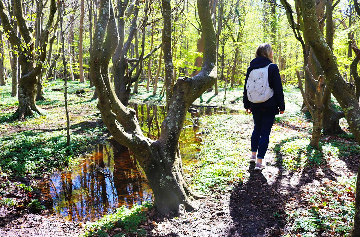 Waldbaden Nienhagen  Waldbaden Nienhagen