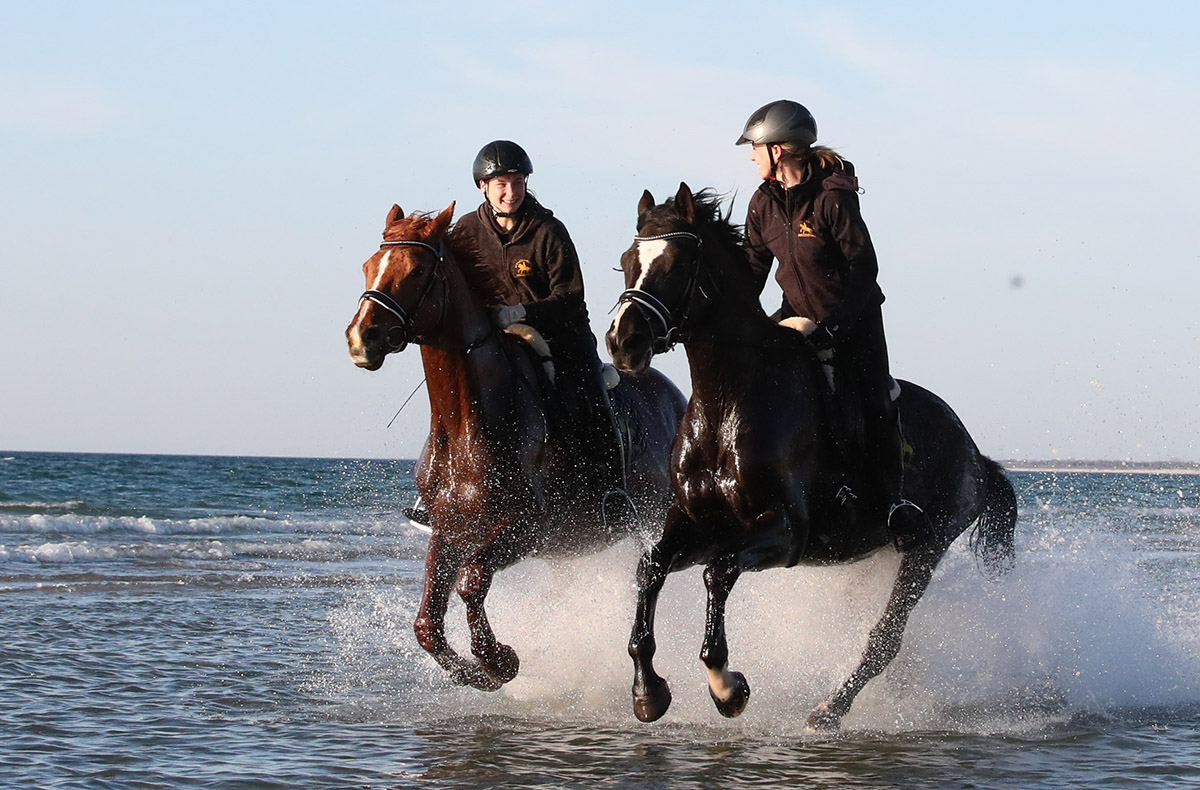 Strandwanderritt Hirschburg Strandwanderritt Hirschburg