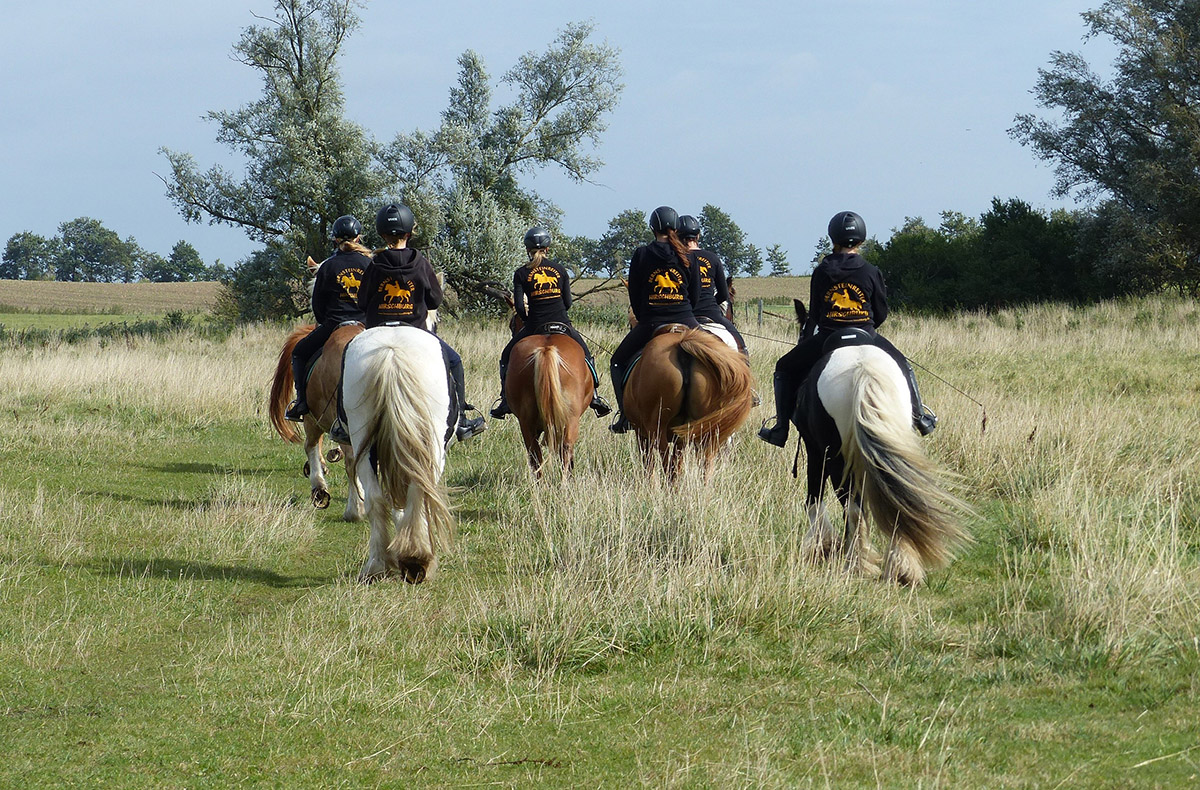 Strandwanderritt Hirschburg Strandwanderritt Hirschburg