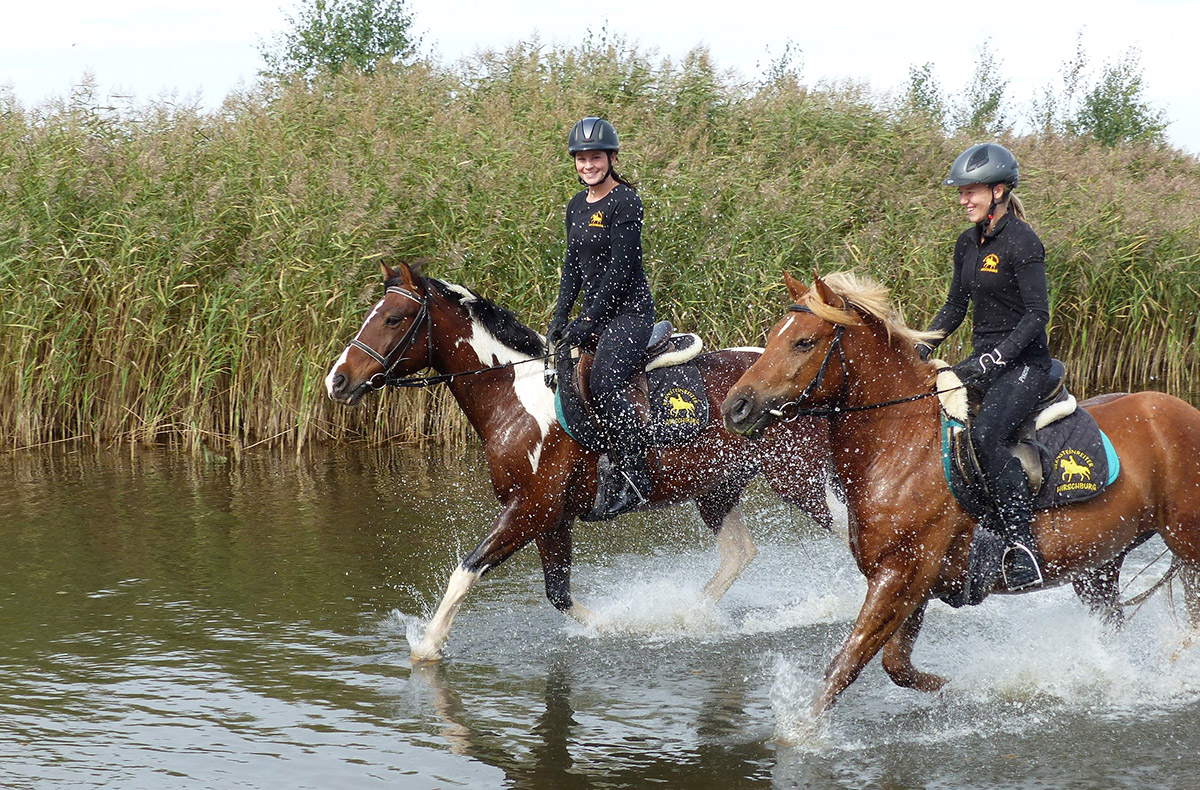 Wanderritt Hirschburg (Ostsee) Wanderritt Hirschburg (Ostsee)