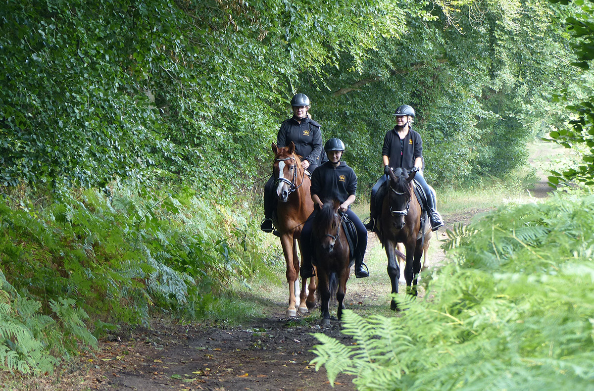 Wanderritt Hirschburg (Ostsee) Wanderritt Hirschburg (Ostsee)