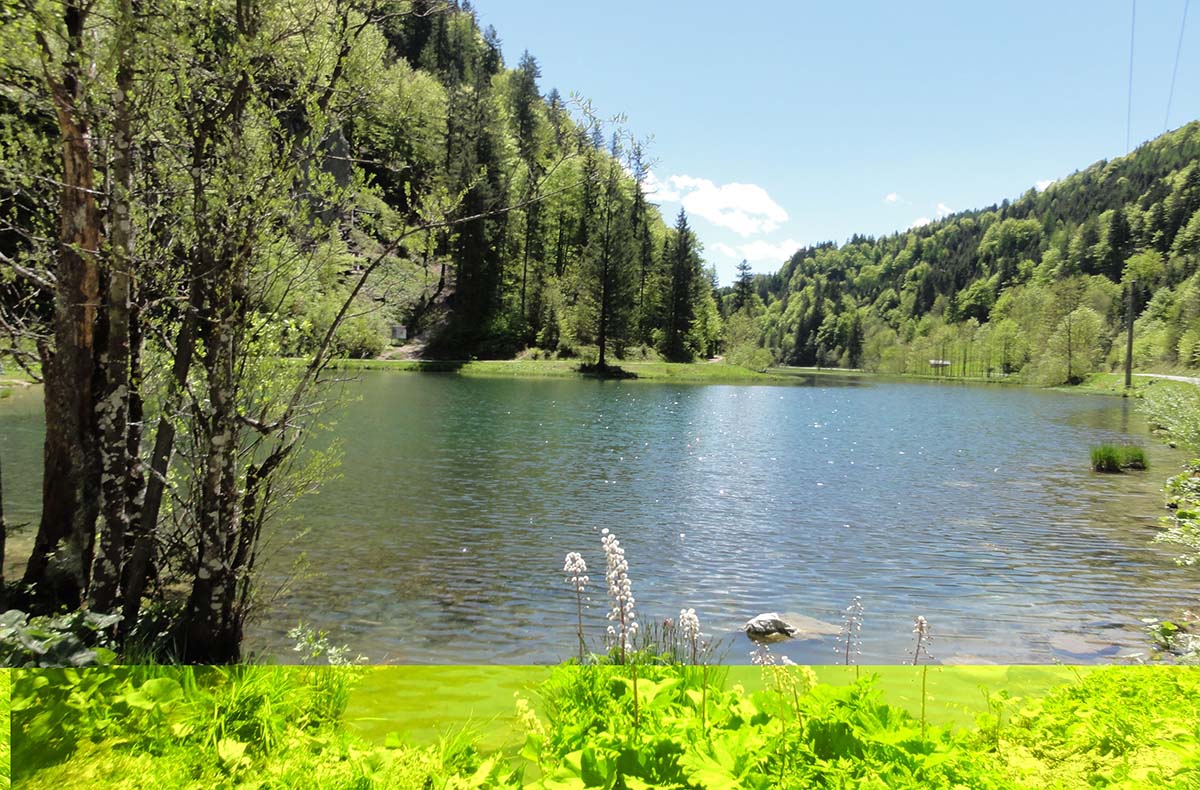 3 Tage Wanderurlaub Jakobskreuz-Pillerseetal für 2 (2 Nächte)