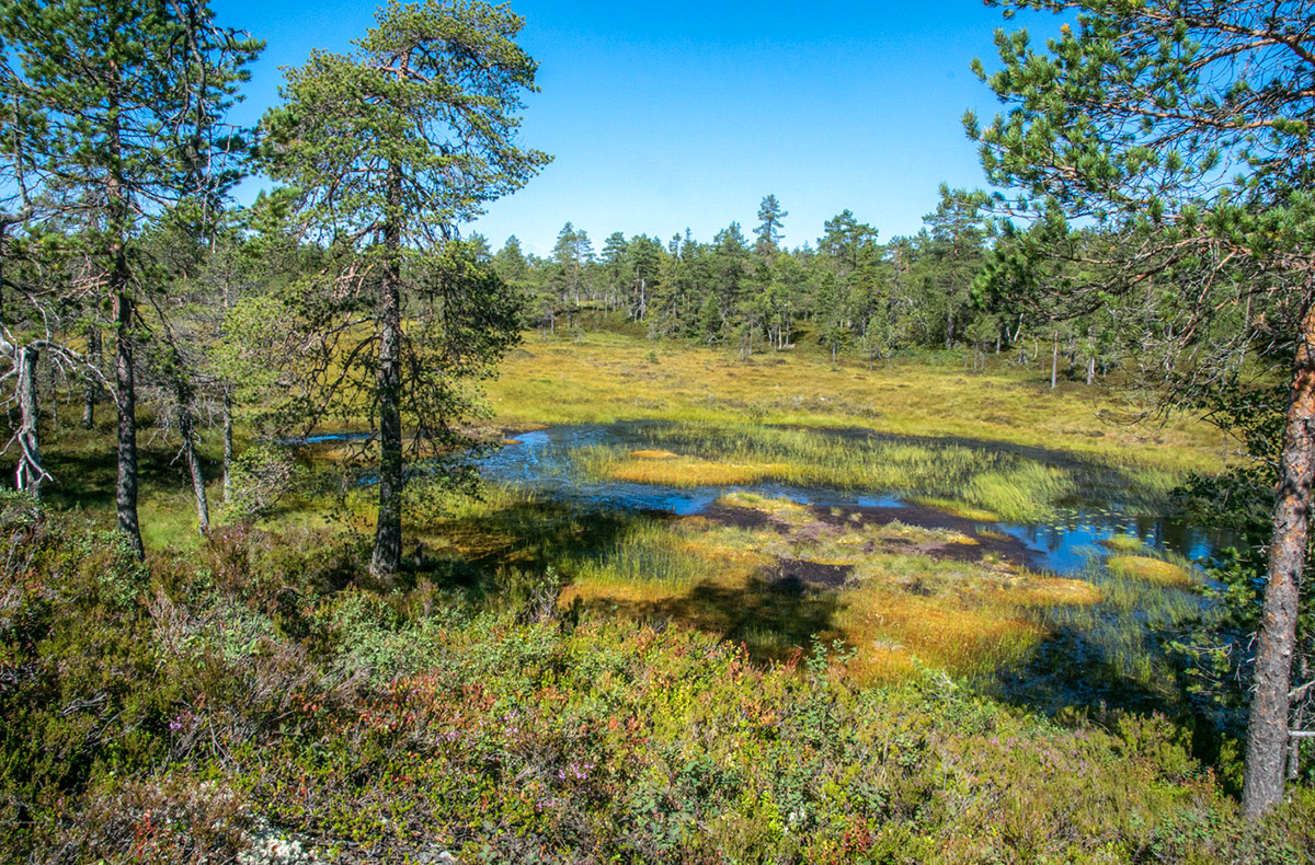 Wanderwoche in Schweden (9 Nächte)