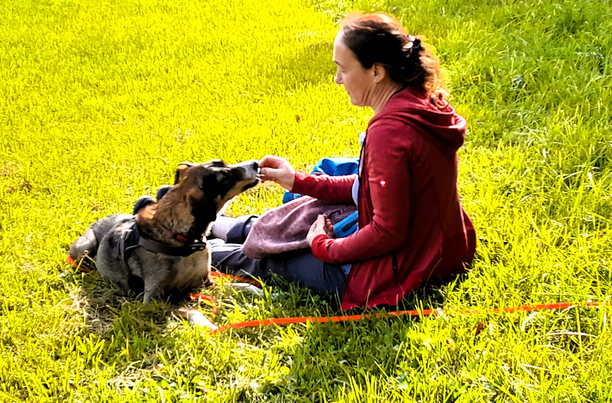 Wattwandern mit Hund Cuxhaven (2 Nächte)
