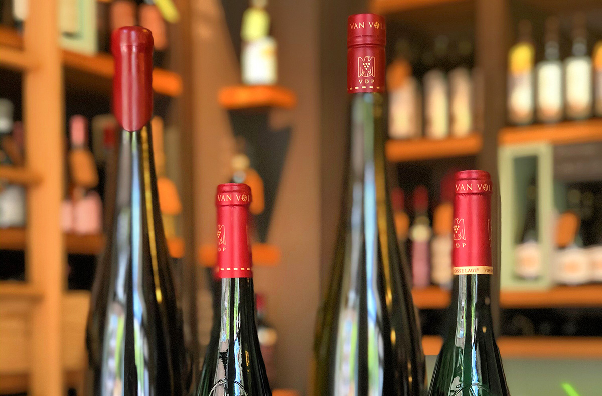 Wein Tasting in München - Weinreise dur... Wein Tasting in München - Weinreise dur...