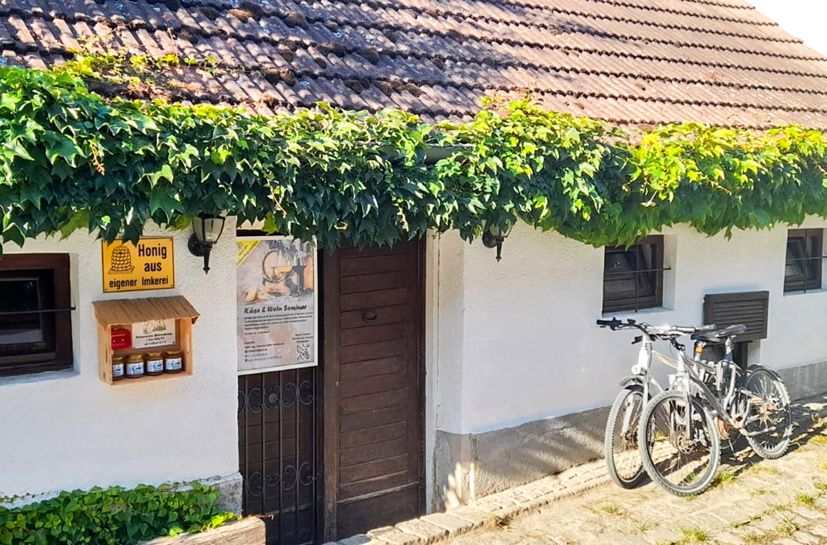 Käse & Wein Seminar Raum Wien Pillichsdorf Käse & Wein Seminar Raum Wien Pillichsdorf