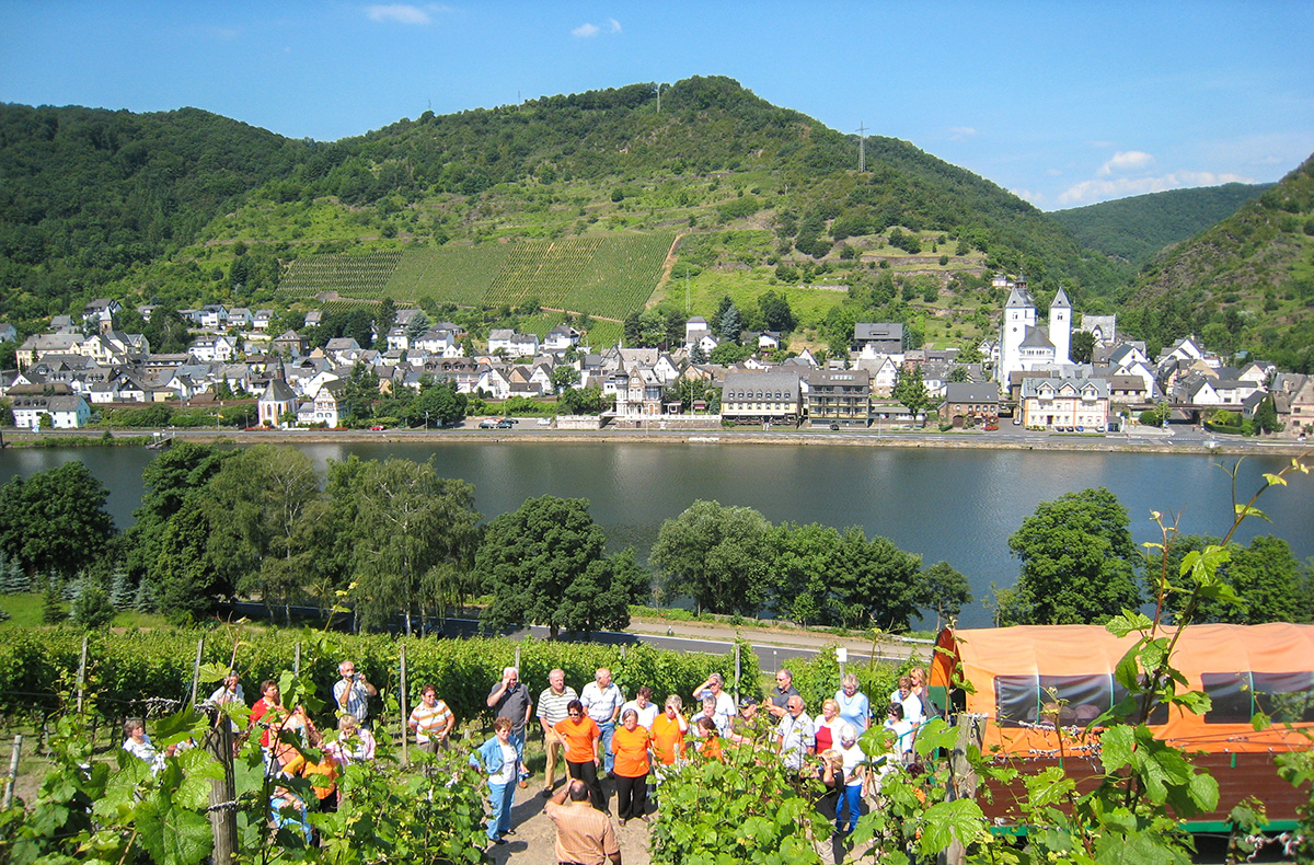 Weinausflug & Schifffahrt auf der Mo...