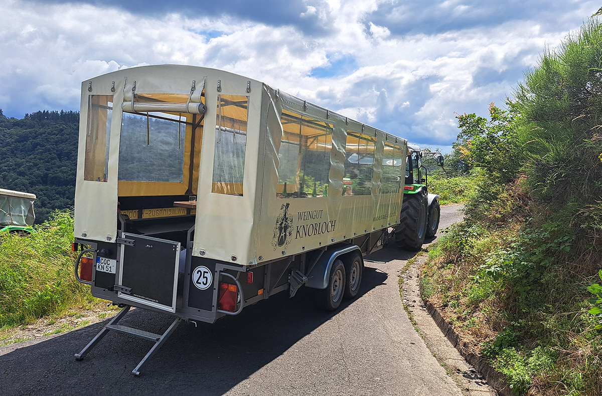 Weinausflug & Schifffahrt auf der Mo...
