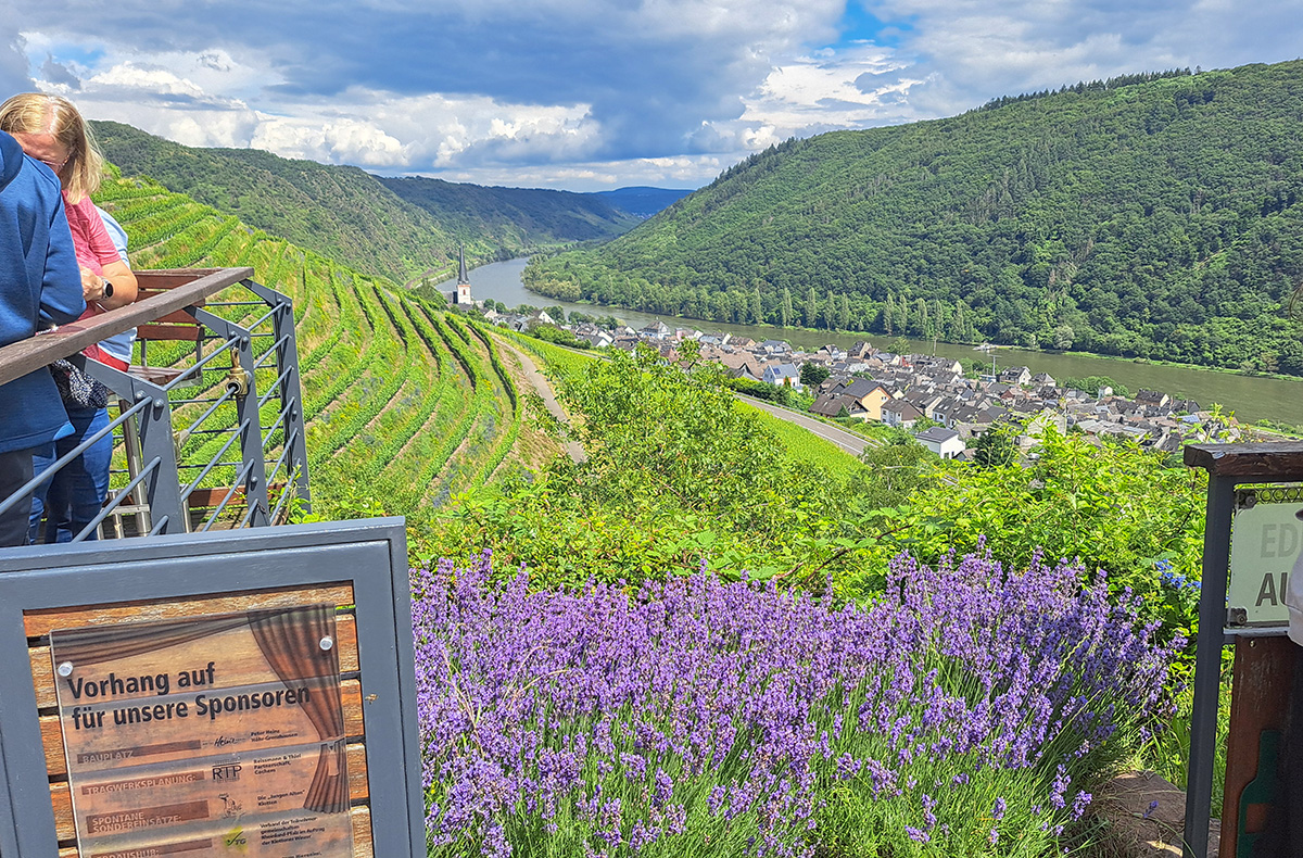 Weinausflug & Schifffahrt auf der Mo...