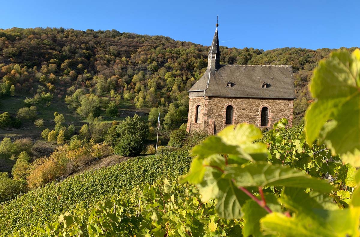Weinbergwanderung Lorch