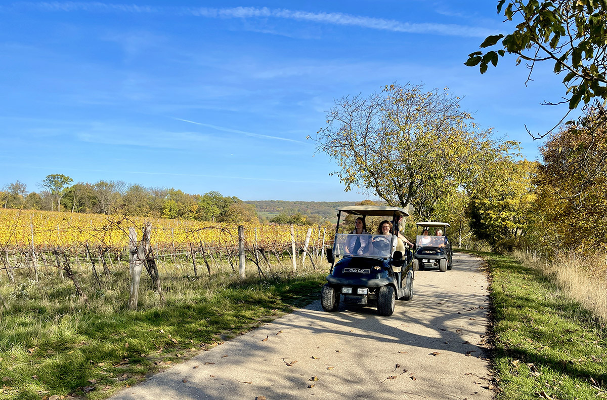 Weinbergrundfahrt Jois für 2