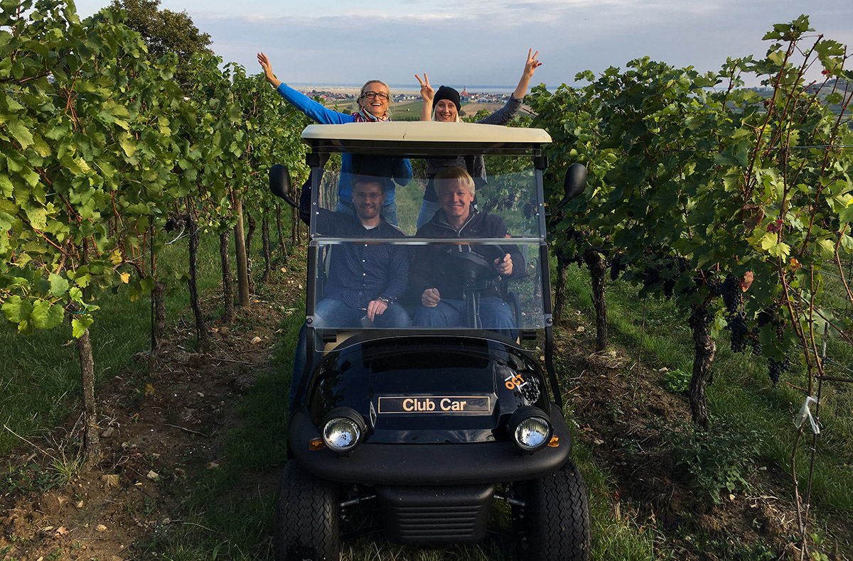 Weinbergrundfahrt Jois für 2