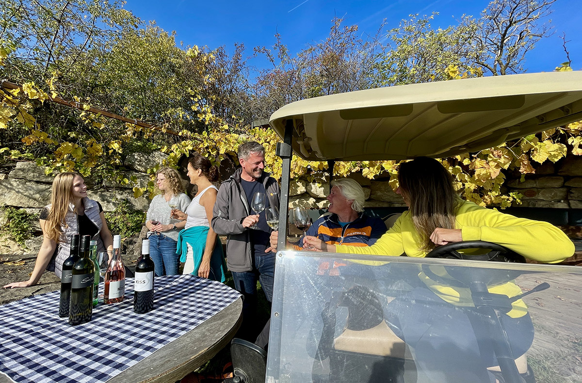 Weinbergrundfahrt Jois für 2