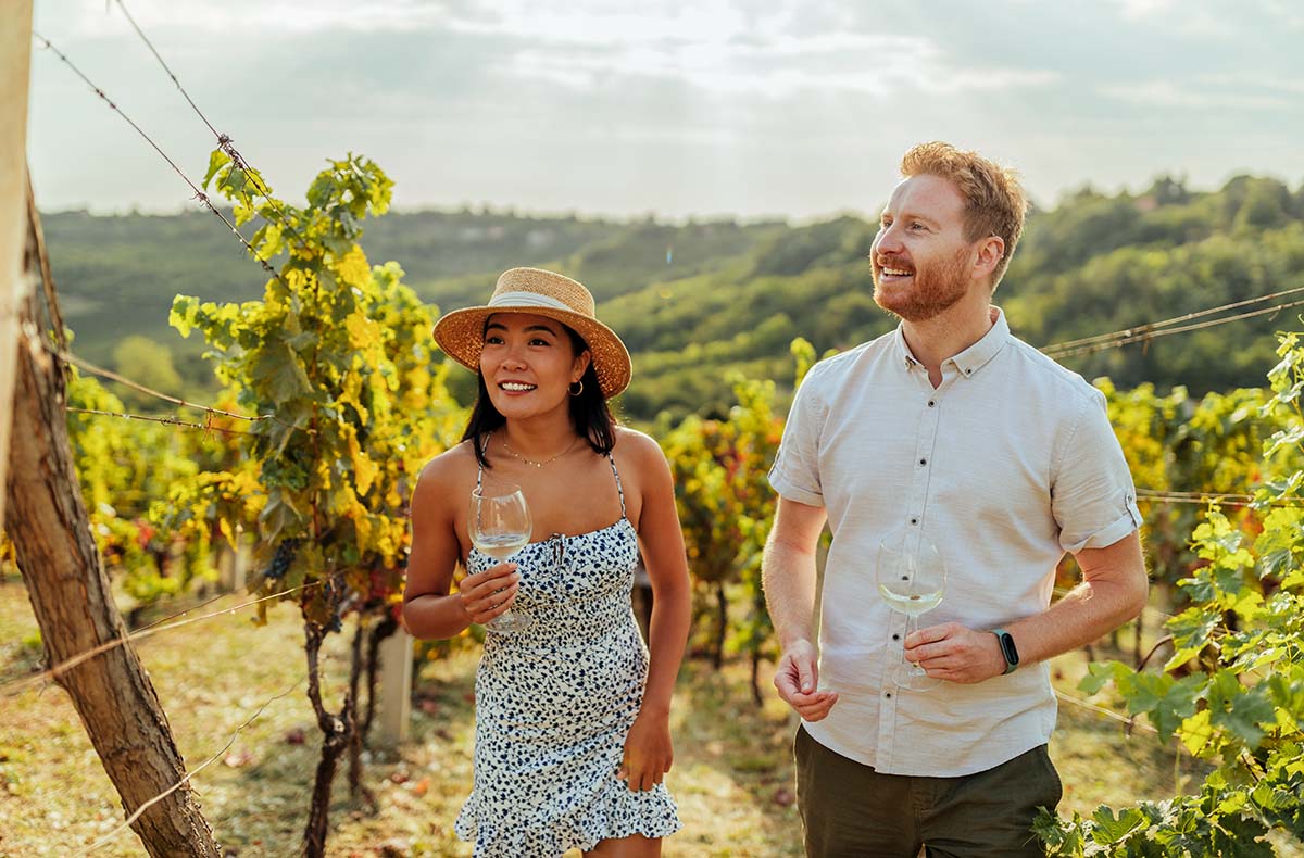 Weinbergwanderung mit Verkostung Schriesheim (alkoholfrei) - Genusswanderung durch Schriesheims Reben