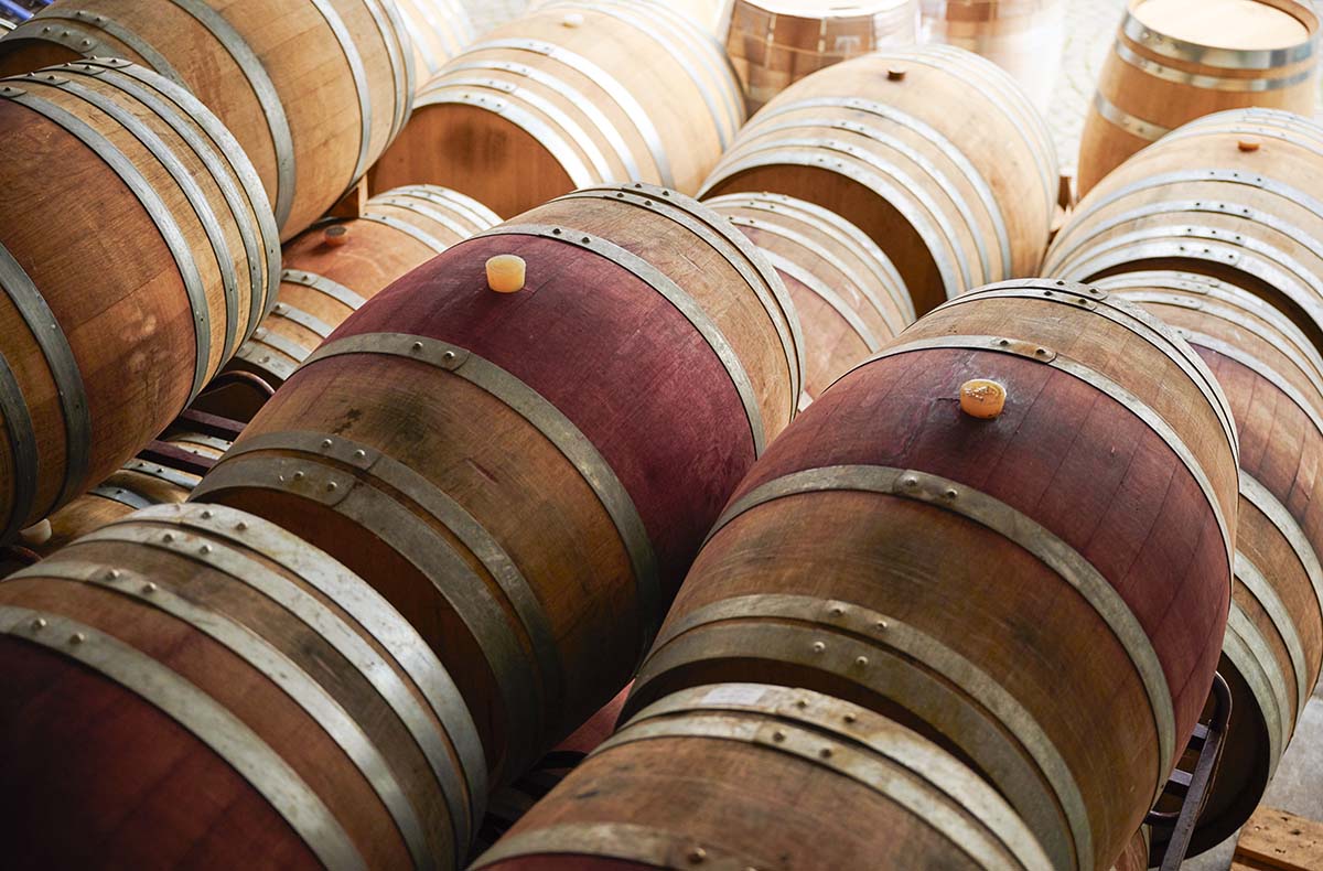 Weinprobe mit Kellerführung Rhodt unter Rietburg für 2 - Jetzt erleben!