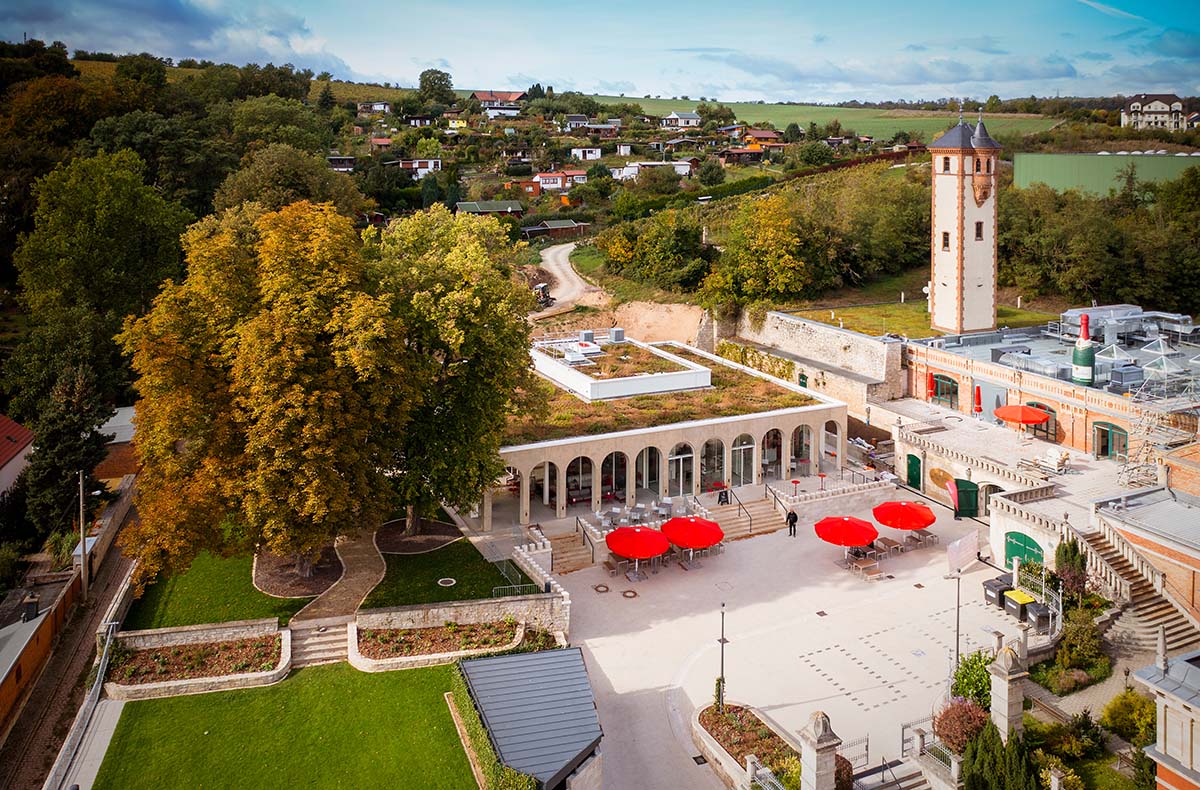 Weinseminar Rotkäppchen Erlebniswelt Freyburg