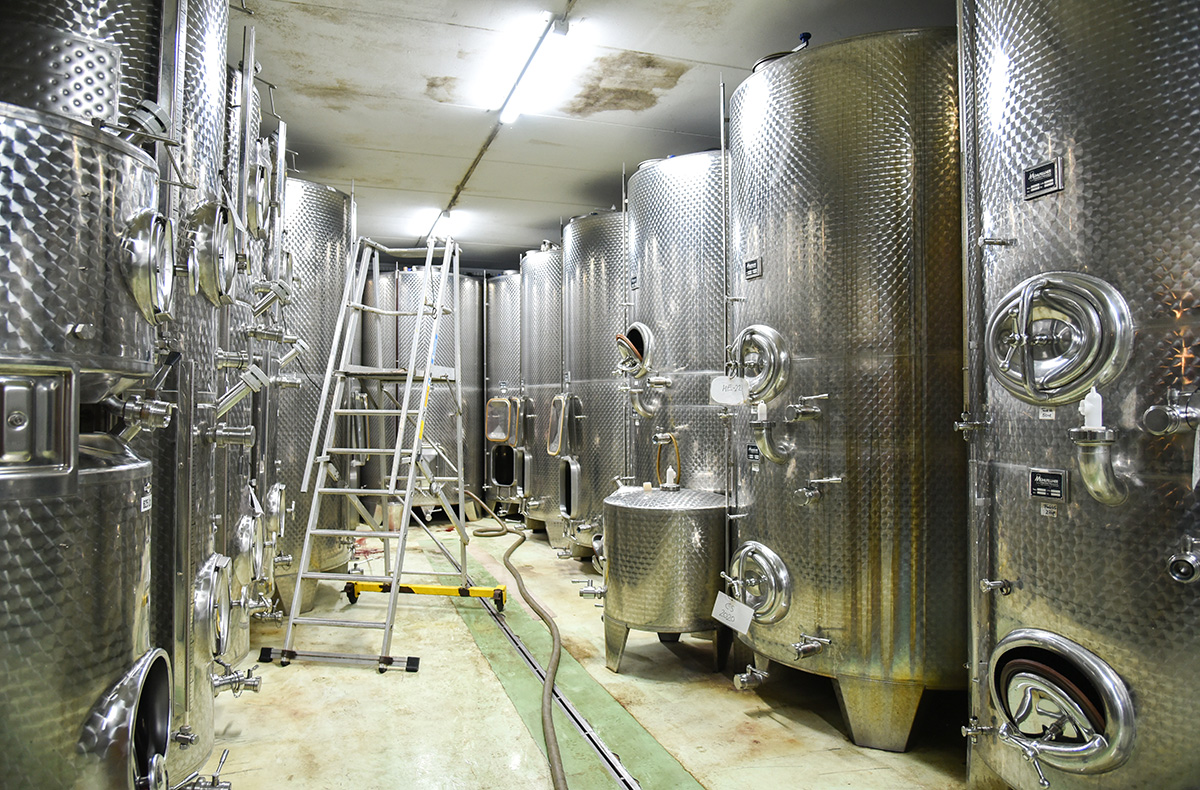 Weinverkostung Tattendorf - Weinverkostung Tattendorf: Ein einzigartiges Weintasting erleben in Gumpoldskirchen Weinverkostung Tattendorf - Weinverkostung Tattendorf: Ein einzigartiges Weintasting erleben in Gumpoldskirchen