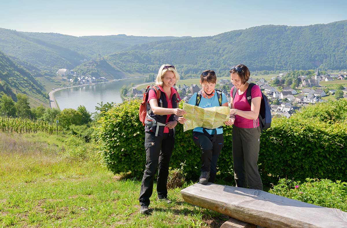 Weinwanderung Cochem Weinwanderung Cochem