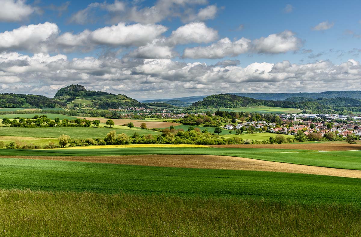 Weinwanderung im Hegau - Genussvolle Weinwanderung im Hegau in Mühlhausen-Ehingen Weinwanderung im Hegau - Genussvolle Weinwanderung im Hegau in Mühlhausen-Ehingen