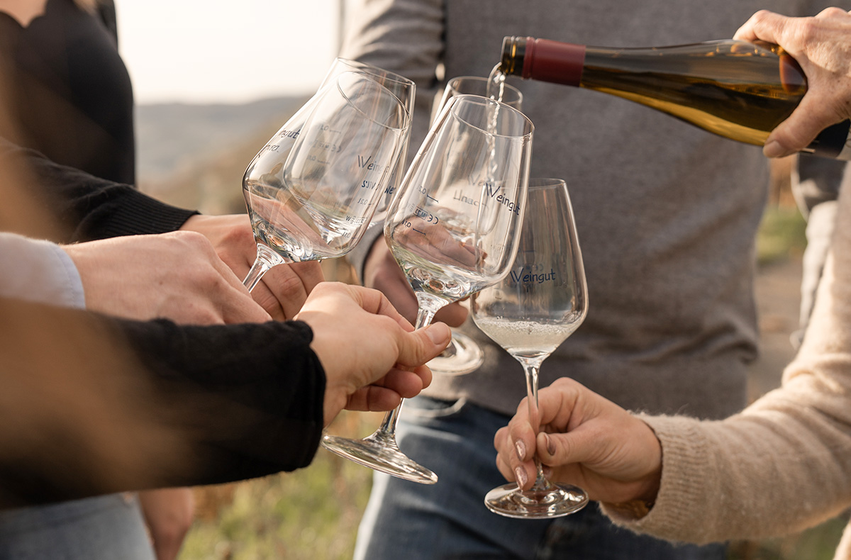 Weinwanderung Lieser...