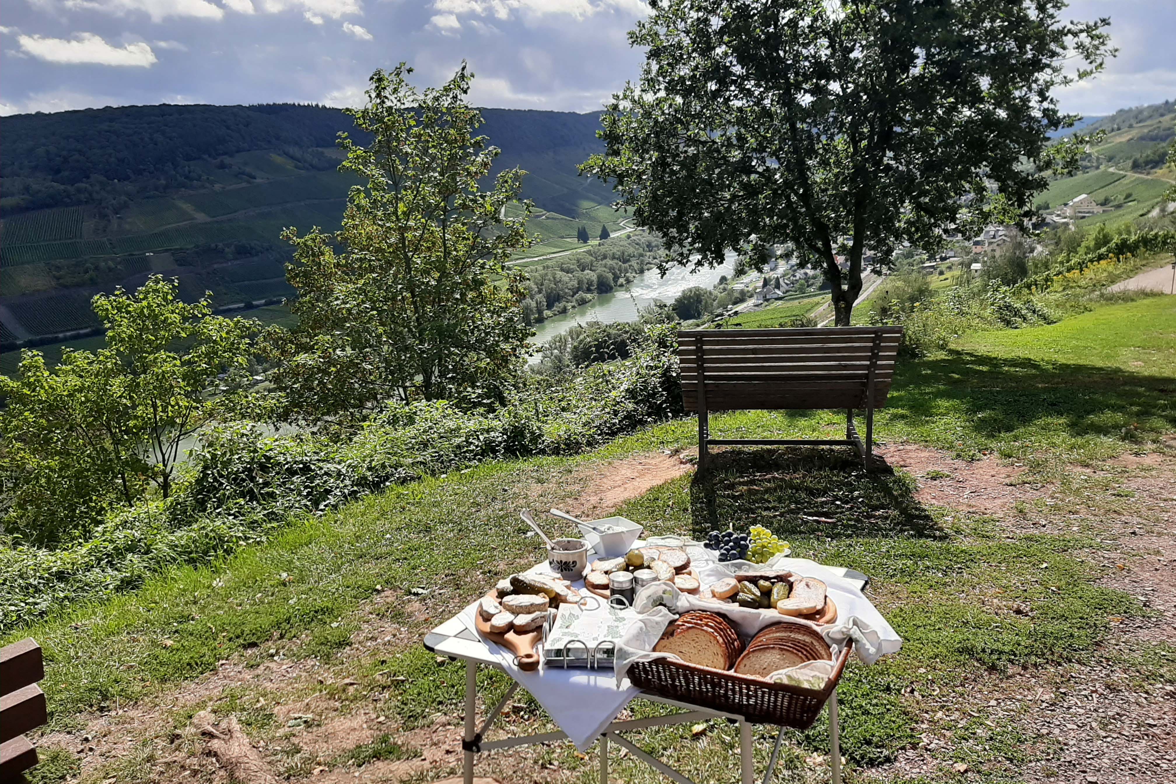 Weinwanderung mit Verkostung Reil Weinwanderung mit Verkostung Reil