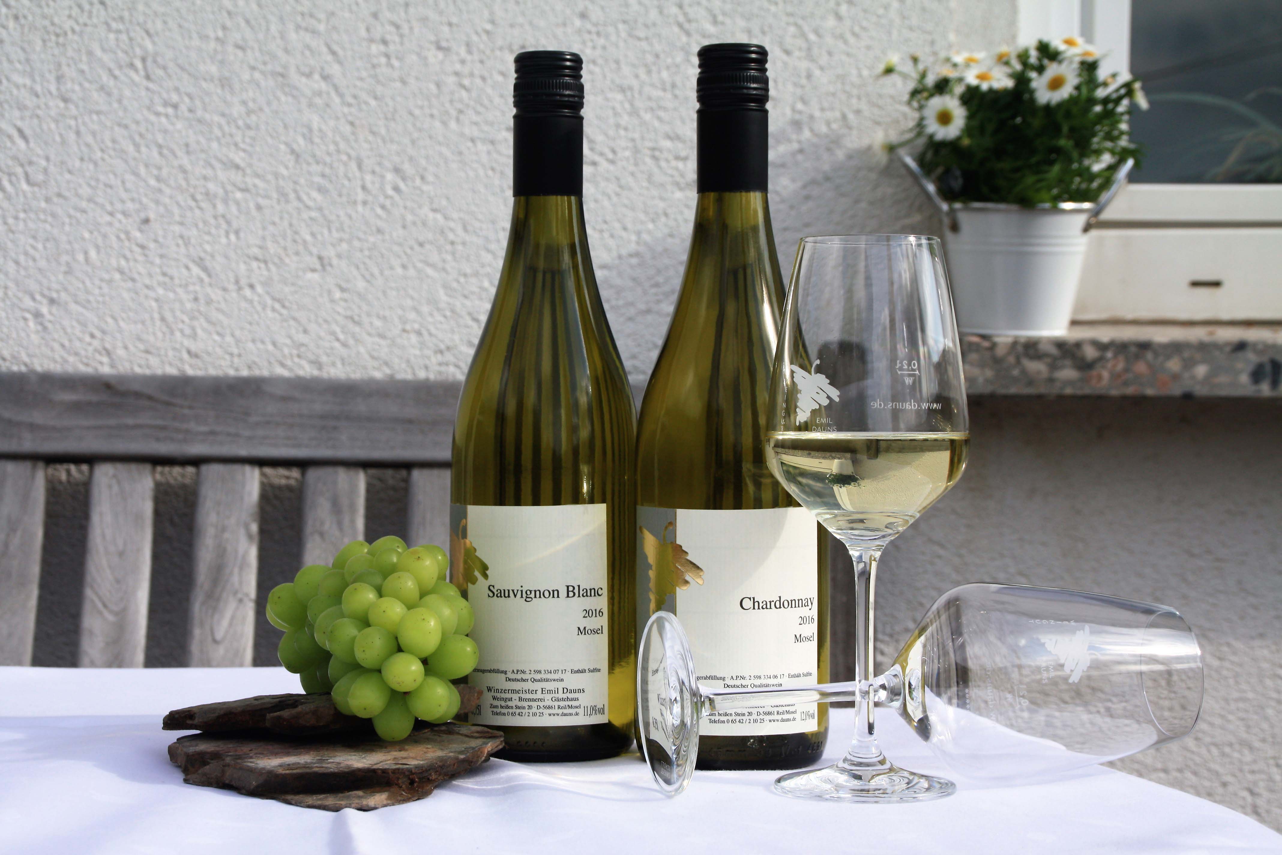 Weinwanderung mit Verkostung Reil Weinwanderung mit Verkostung Reil