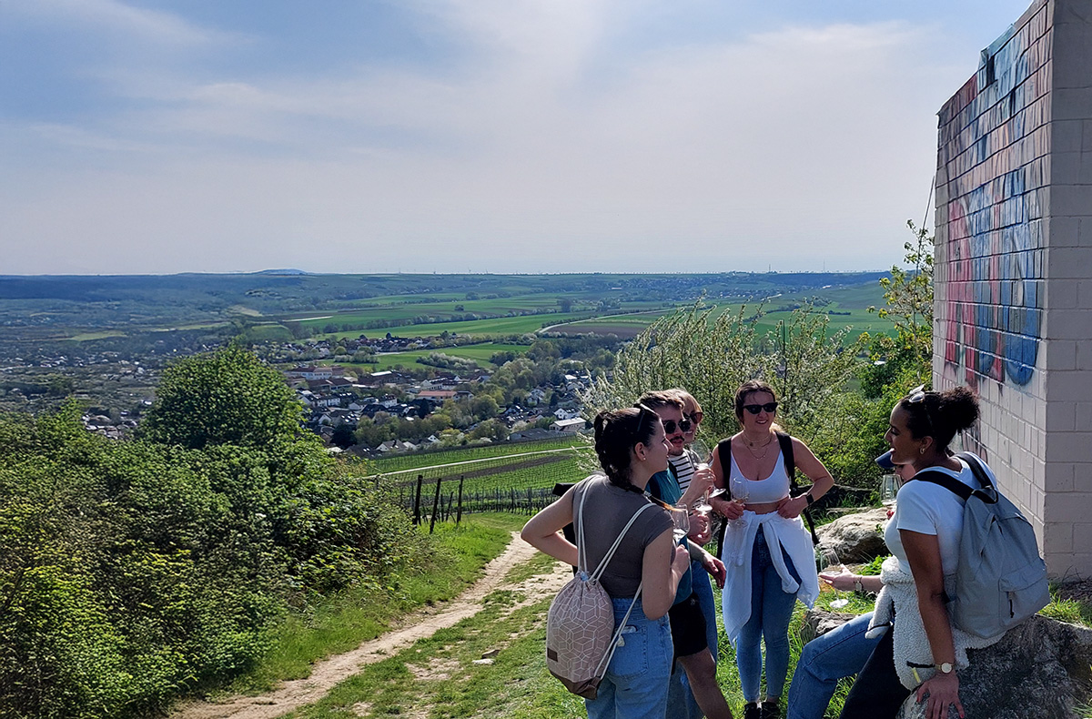 Weinwanderung Rheinhessen Essenheim