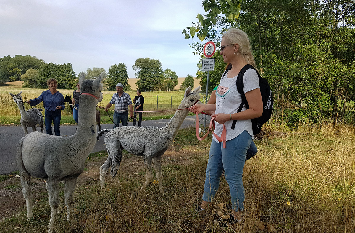Alpaka Wanderung Wiederoda für 2 Alpaka Wanderung Wiederoda für 2