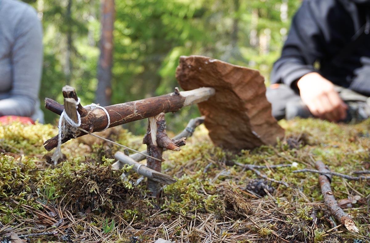 Wildnis JGA (1 Tag) Raum Nürburg