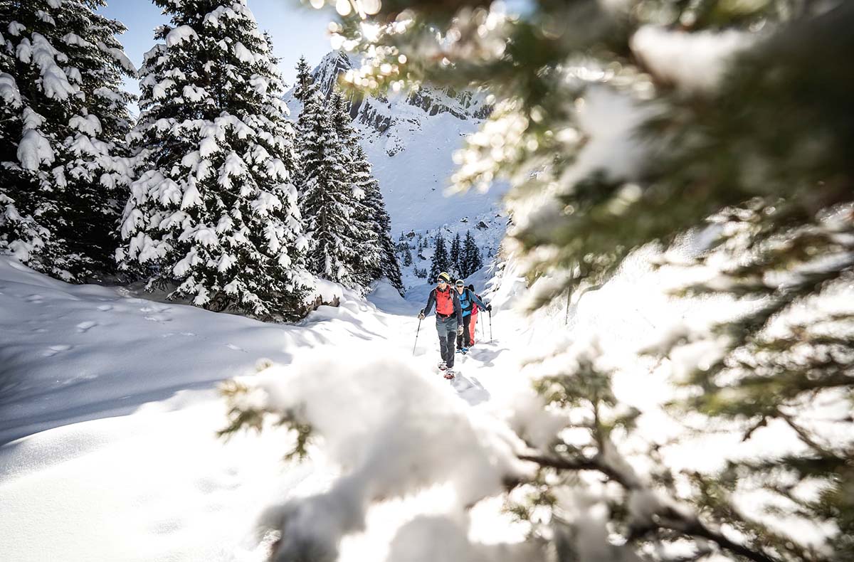 Winter Alpine Adventure Wilderswil