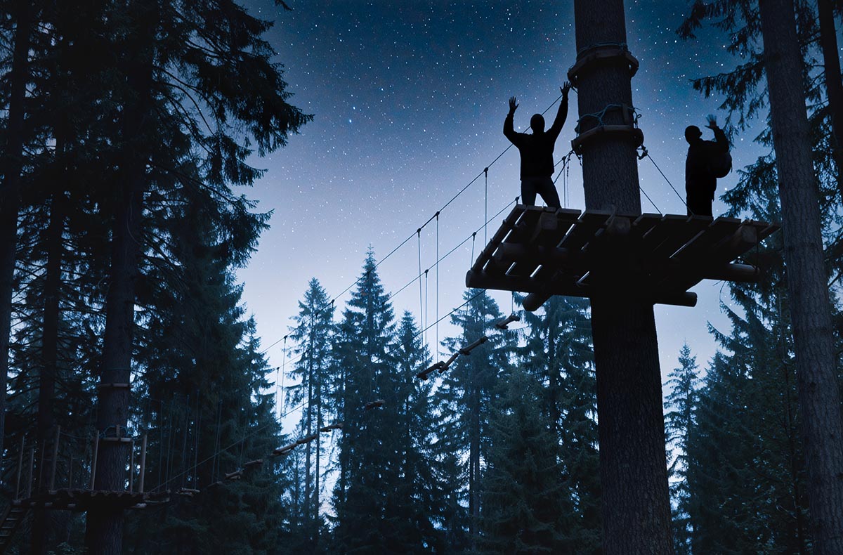 Ziplining bei Nacht im Pfälzerwald - Sternenglück beim Midnight Zipping im Pfälzerwald in Elmstein (Iggelbach) Ziplining bei Nacht im Pfälzerwald - Sternenglück beim Midnight Zipping im Pfälzerwald in Elmstein (Iggelbach)