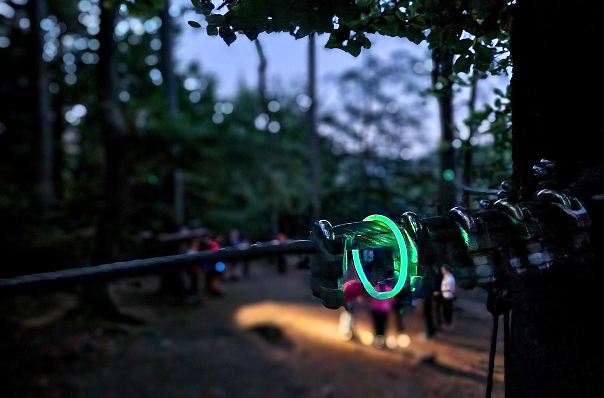Ziplining bei Nacht im Pfälzerwald in Elmstein